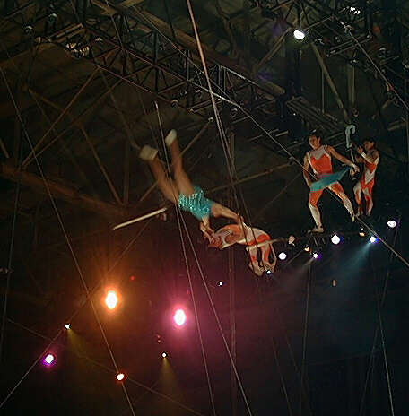 circus trapeze